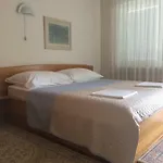 Apartamento Focic *