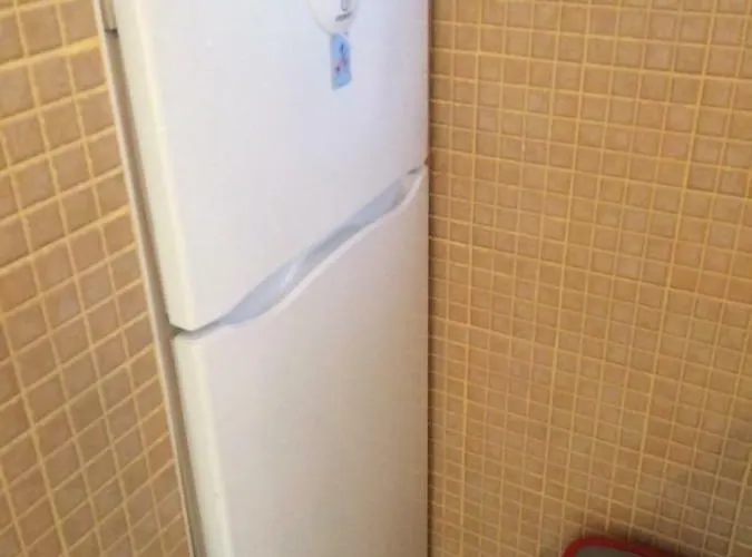 Apartman Focic *