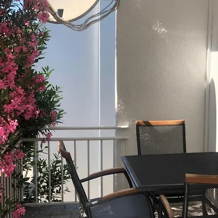 Apartment Focic
